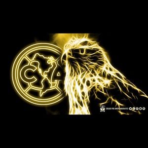 Meet your Posher, Vince